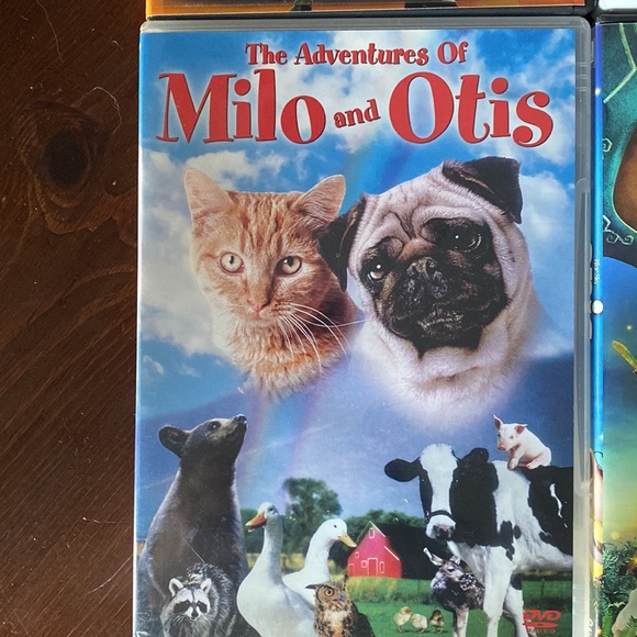 Kids DVDs-megamind, veggie tales Easter, milo and Otis, Epic - used, but good! - Picture 4 of 5